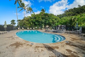 Ein Swimmingpool mit Liegestühlen und Sonnenschirmen, umgeben von Palmen und einer Steinmauer.