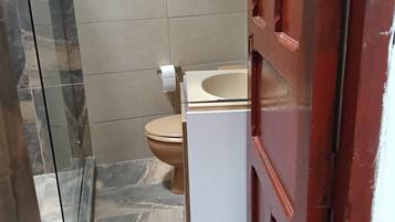 Une salle de bain comprenant des toilettes, un miroir et un espace douche.
