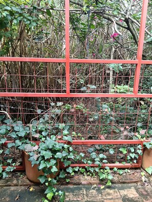 Ein roter Metallzaun mit Gittermuster, umgeben von dichtem Grün und Pflanzen.