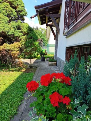 Ein Gartenweg führt zu einem Gebäude mit einer Holzpergola und einem Metalltor.