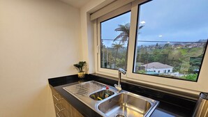 A kitchen with a double sink, wooden cabinets, and a window overlooking a residential area. - Grandfather's House (Santana)