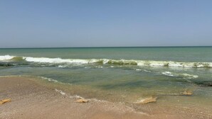 Una spiaggia con acque cristalline, una riva sabbiosa e un cielo sereno.