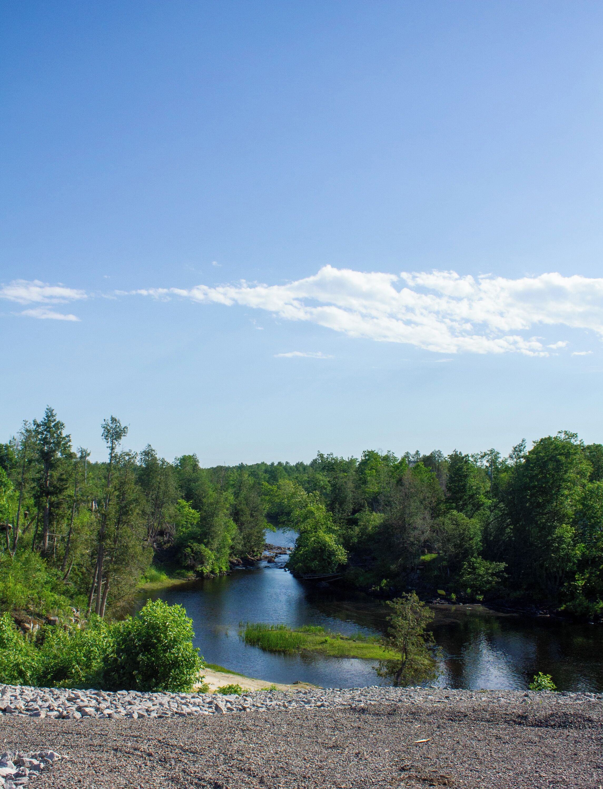 Une rivière bordée d’une forêt dense et un ciel dégagé.
