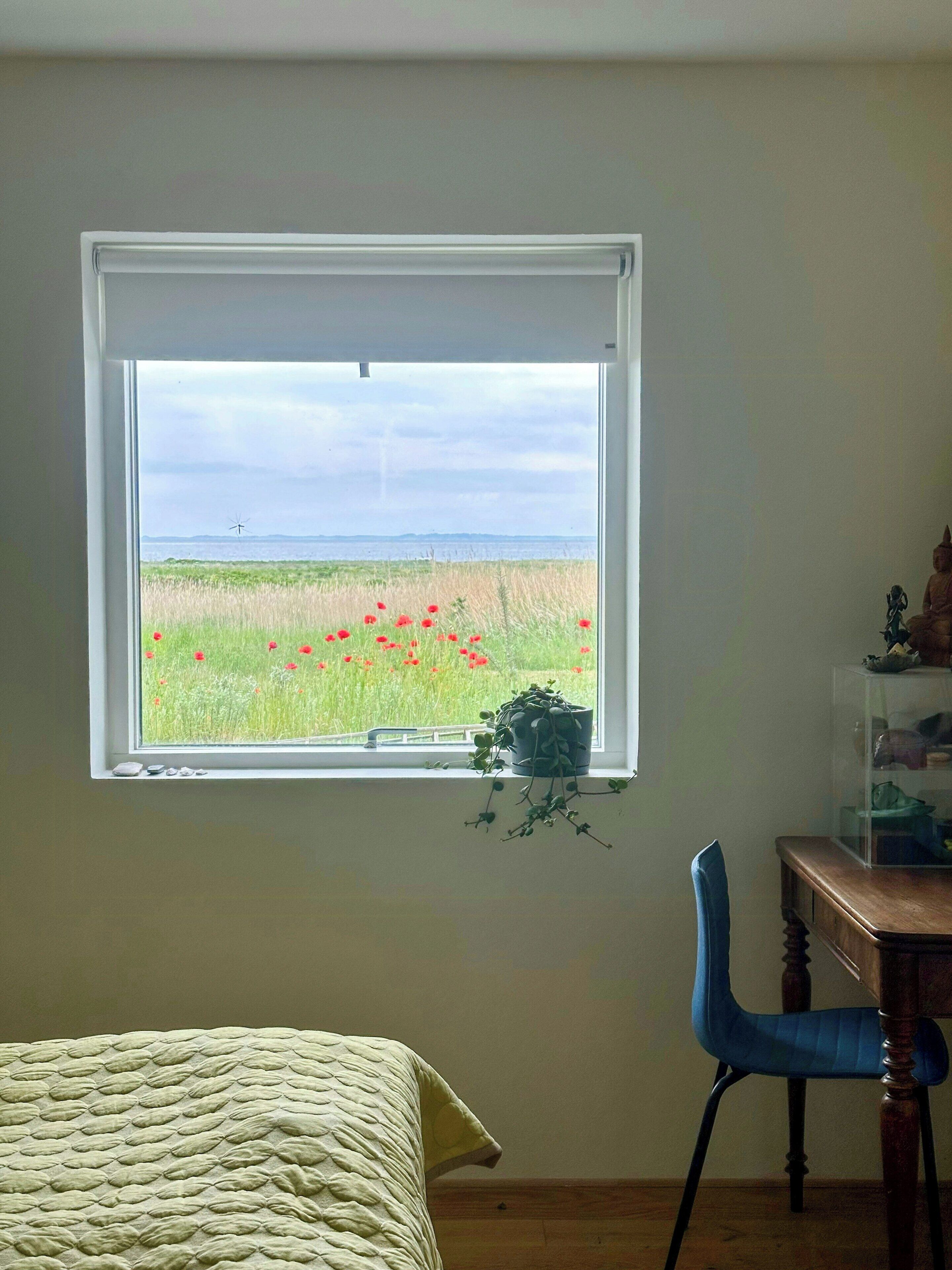 A room with a window overlooking a field of red flowers and a distant windmill.