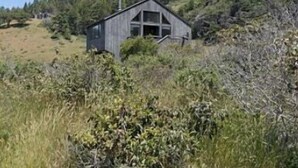 A small wooden cabin surrounded by dense vegetation and trees. - Love Nest | Ocean View Cottage & Hot Tub (Sea Ranch)