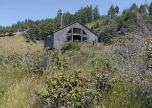 A small wooden cabin surrounded by dense vegetation and trees. - Love Nest | Ocean View Cottage & Hot Tub (Sea Ranch)