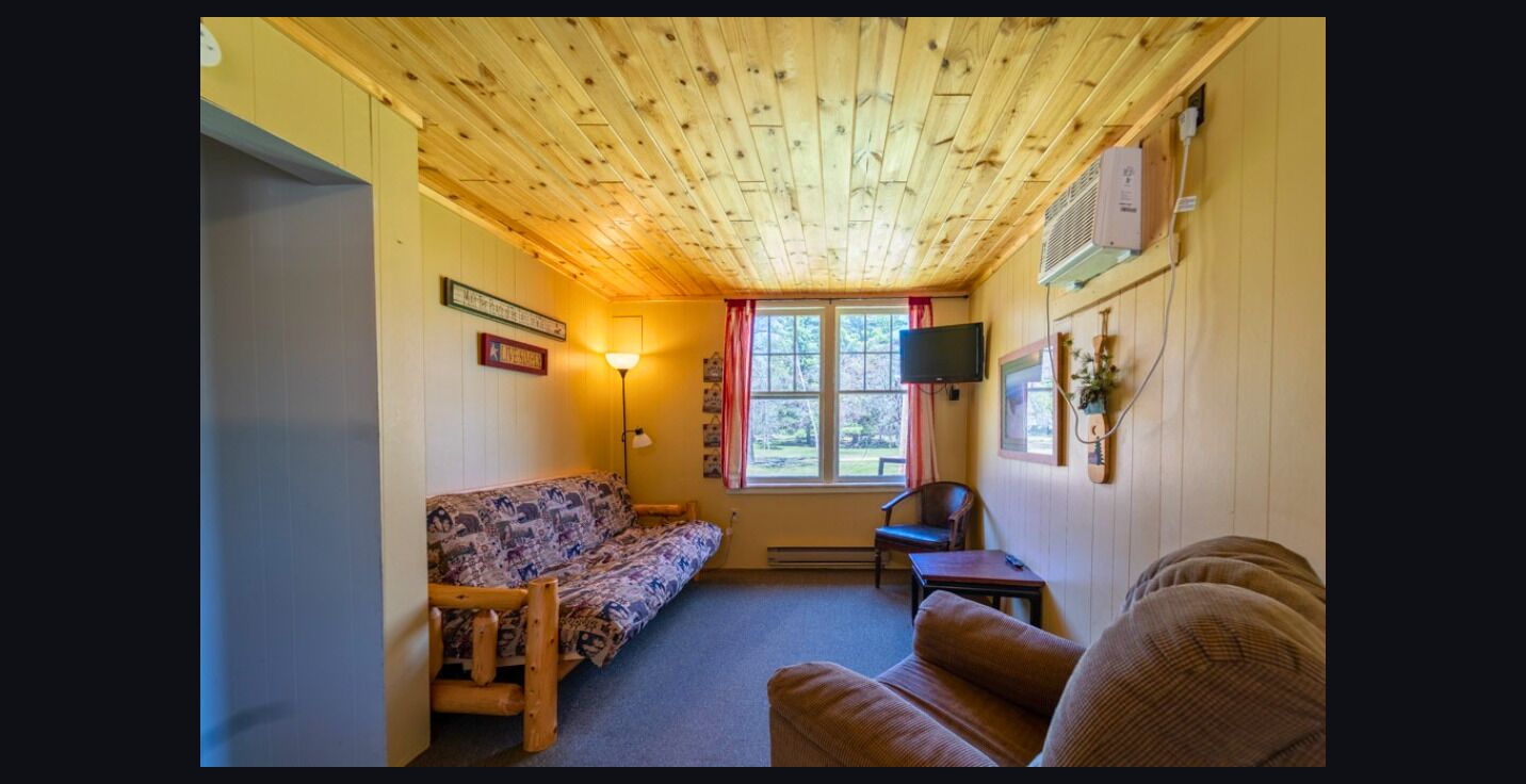 Basic Cabin (Cabin 2) | Living area