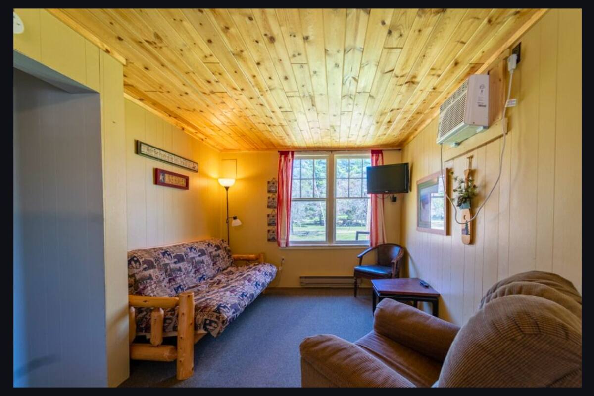 Basic Cabin (Cabin 2) | Living area