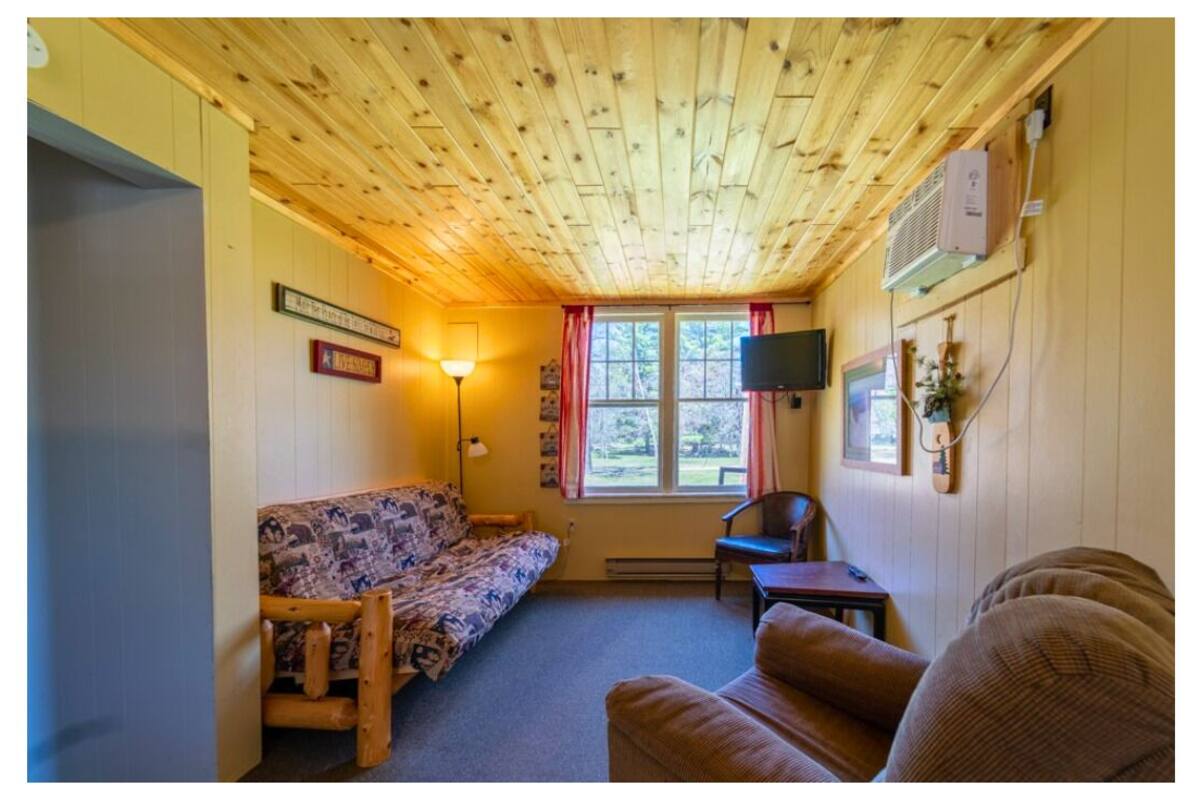 Basic Cabin (Cabin 2) | Living area