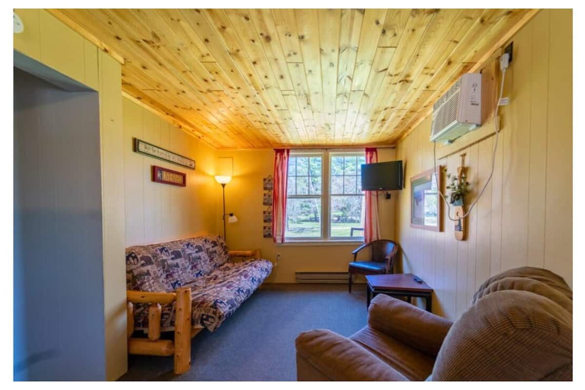 Basic Cabin (Cabin 2) | Living area