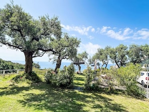 Un sentier bordé d’arbres, avec vue sur la mer, une voiture blanche et un panneau indicateur.