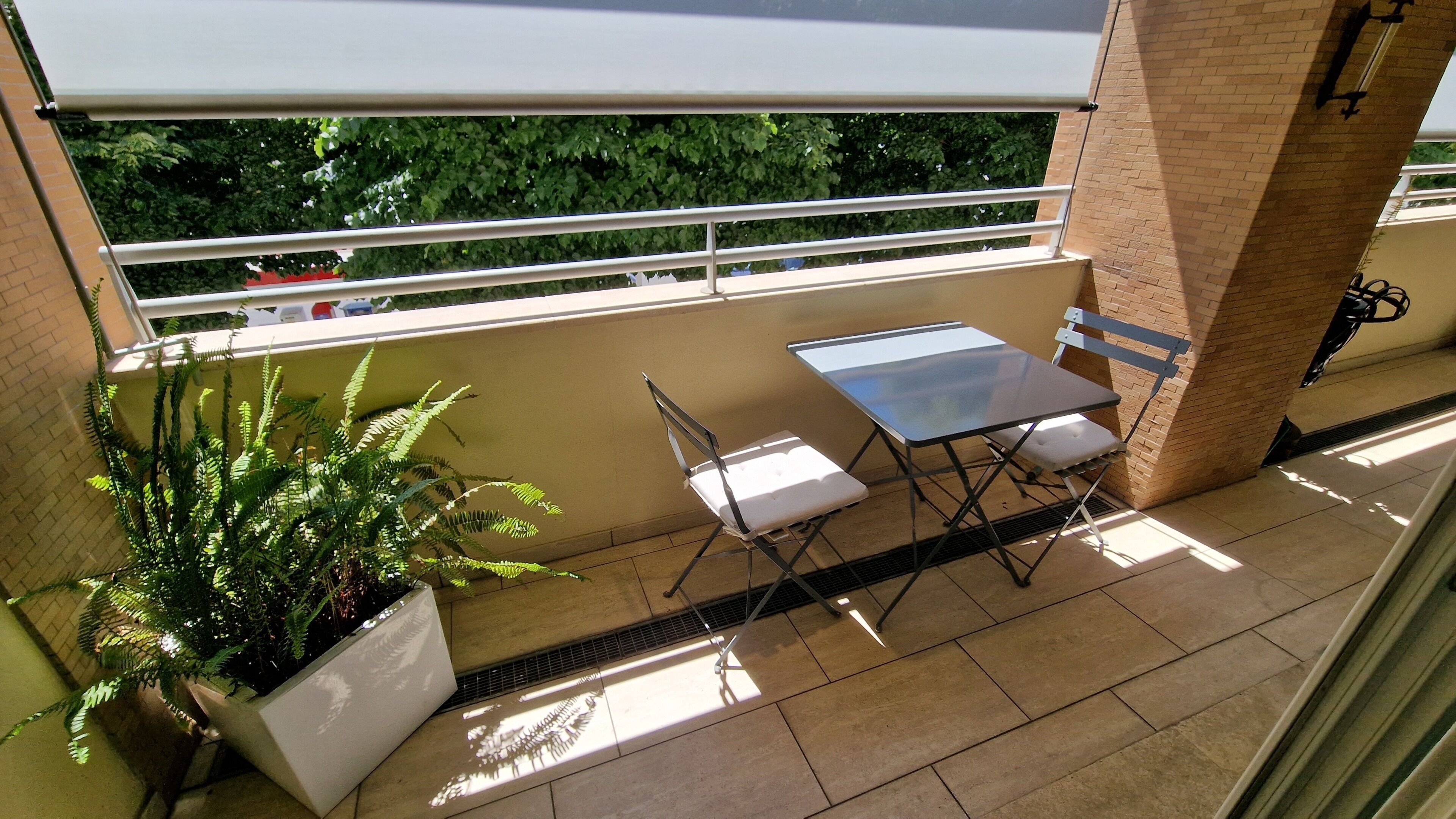 A balcony with a table and chairs, a potted plant, and a view of greenery.