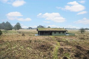 Exterior - Holiday home in coastal nature with turf roof (Løkken)