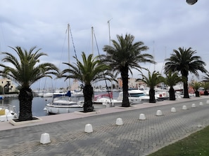 Un puerto deportivo con barcos amarrados, palmeras bordeando el paseo y un camino pavimentado.