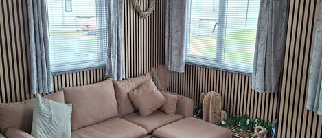 Smart TV, chimenea, reproductor de DVD y libros