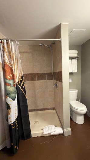 A shower area with a glass door, a toilet, and a towel rack. - Freshly renovated Studio Loft in the heart of Corktown. (Detroit)