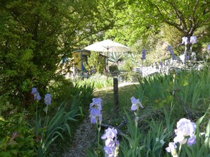 Un jardin avec des fleurs violettes, une clôture en bois et un bâtiment jaune avec un toit bleu.