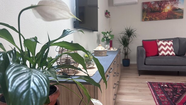 Una sala de estar con un sofá, una mesa de centro y una planta en maceta.