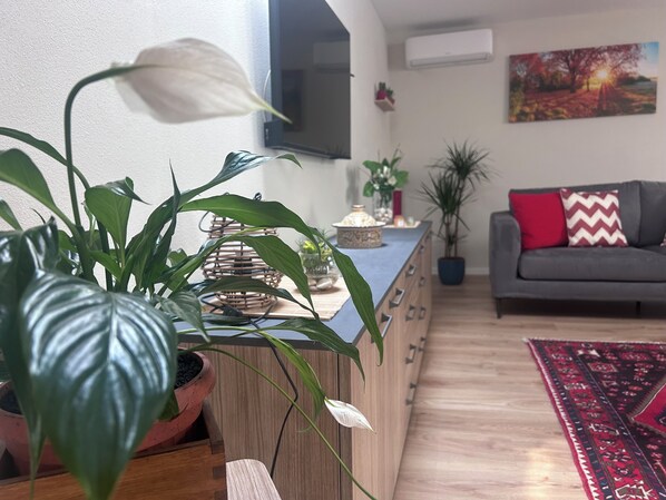 A living room with a sofa, a coffee table, and a potted plant.