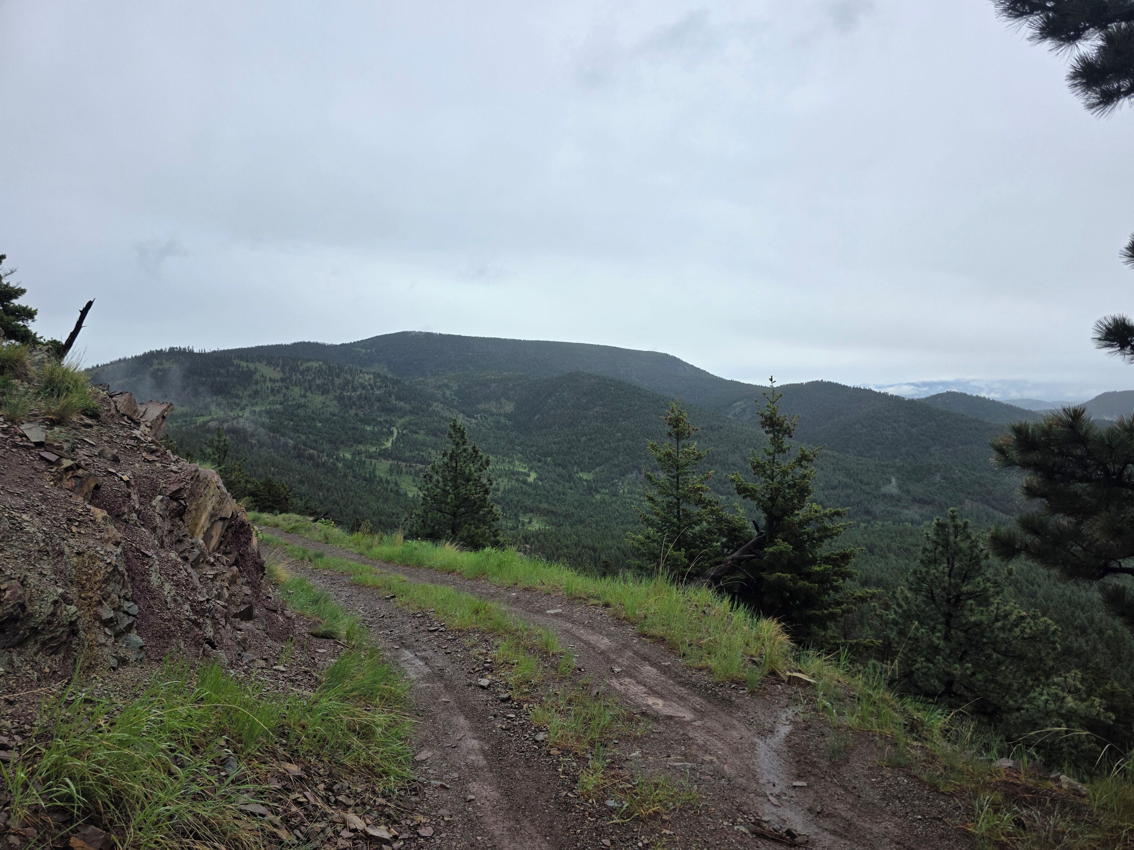 A dirt path leading through a mountainous area with dense forest.. Awesome 1-bedroom apartment in cool Three Forks perfect for getaway