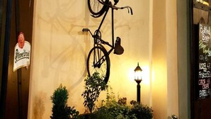 Een fiets aan een muur, potplanten, een houten tafel en een bord met een biermerk.