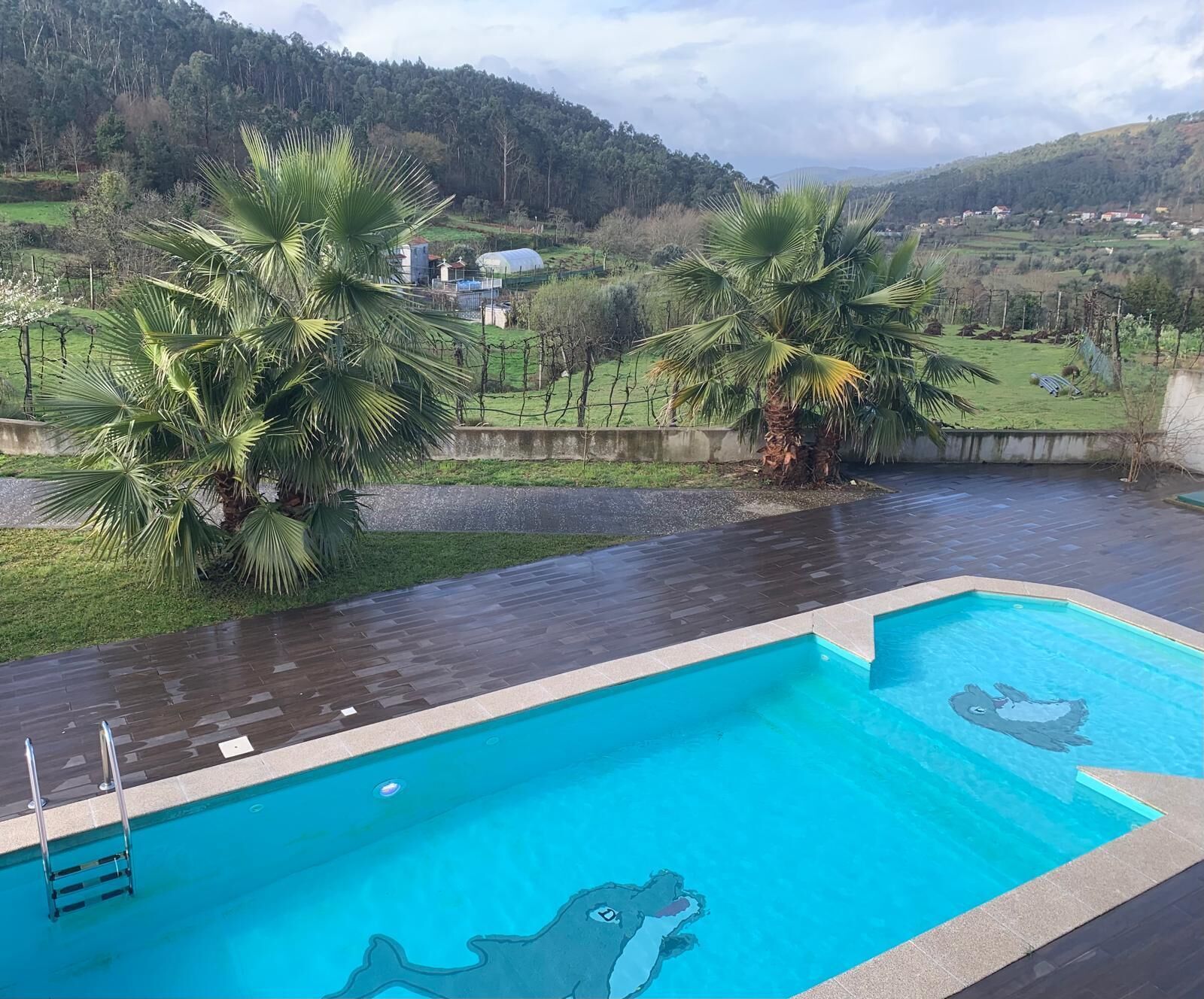 Ein Swimmingpool mit Rettungsschwimmerstand, umgeben von Palmen und Blick auf eine hügelige Landschaft.