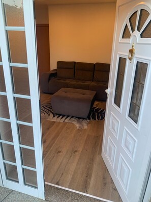Habitació amb sofà, petita cadira i una catifa amb estampat de zebra.