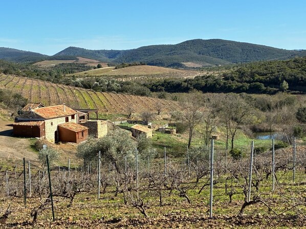 Un vignoble comprenant des bâtiments, notamment une maison en pierre et une structure en bois, entouré de collines et surplombant un ciel dégagé.