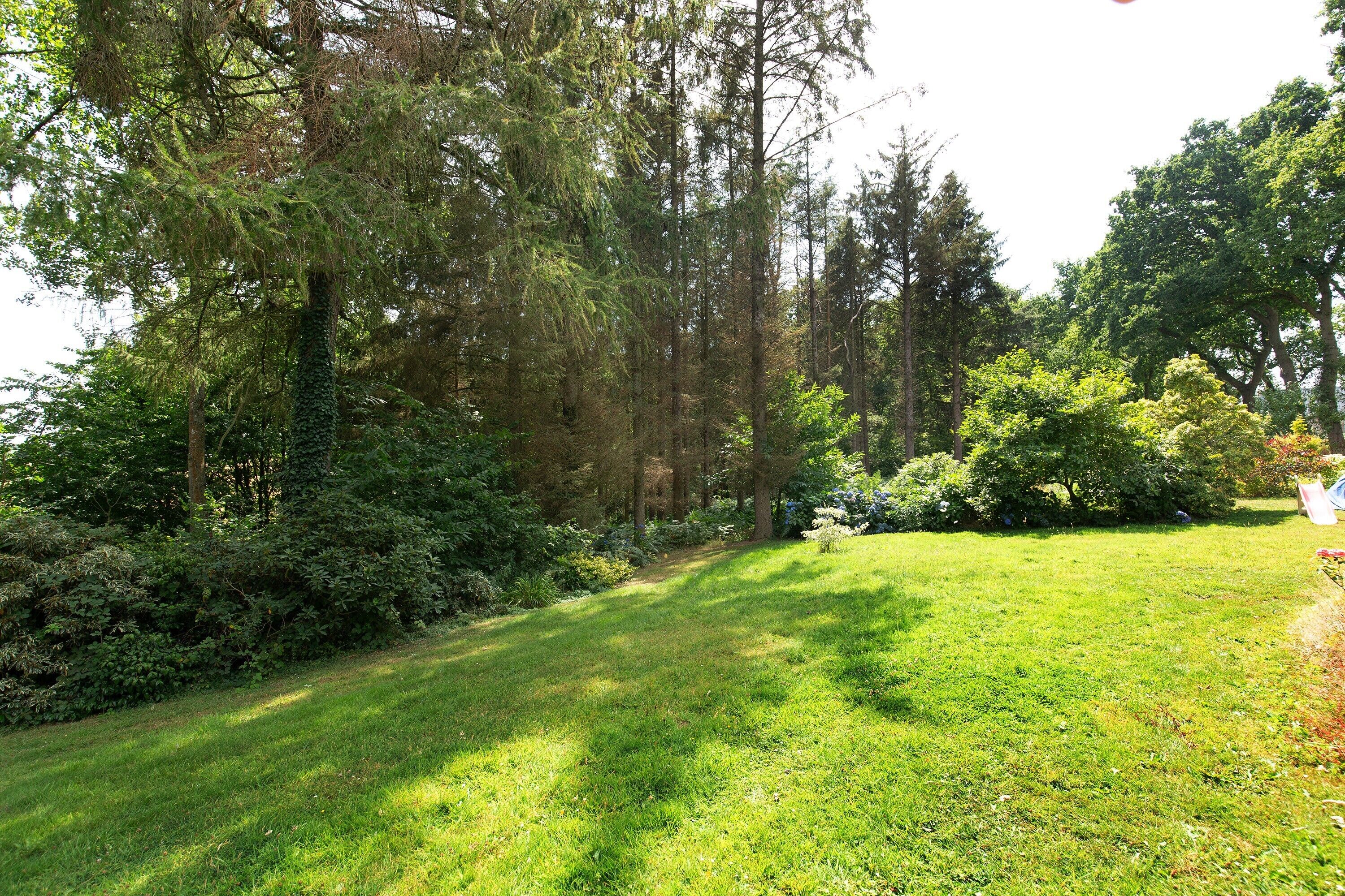Une zone herbeuse bien entretenue, avec des arbres et des arbustes denses, qui fait probablement partie d’un parc ou d’un jardin.