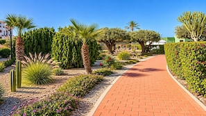 A paved pathway lined with various plants and cacti, leading to a building with a green roof. - Vera Playa Beachtfront Apartment with garden & 4 Pools (Vera Playa)