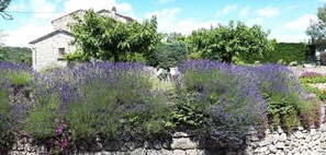 Ein Steinhaus mit einem Garten voller Lavendel und anderer Pflanzen.