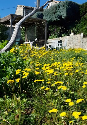 A garden with yellow flowers, a stone wall, and a rustic wooden structure.