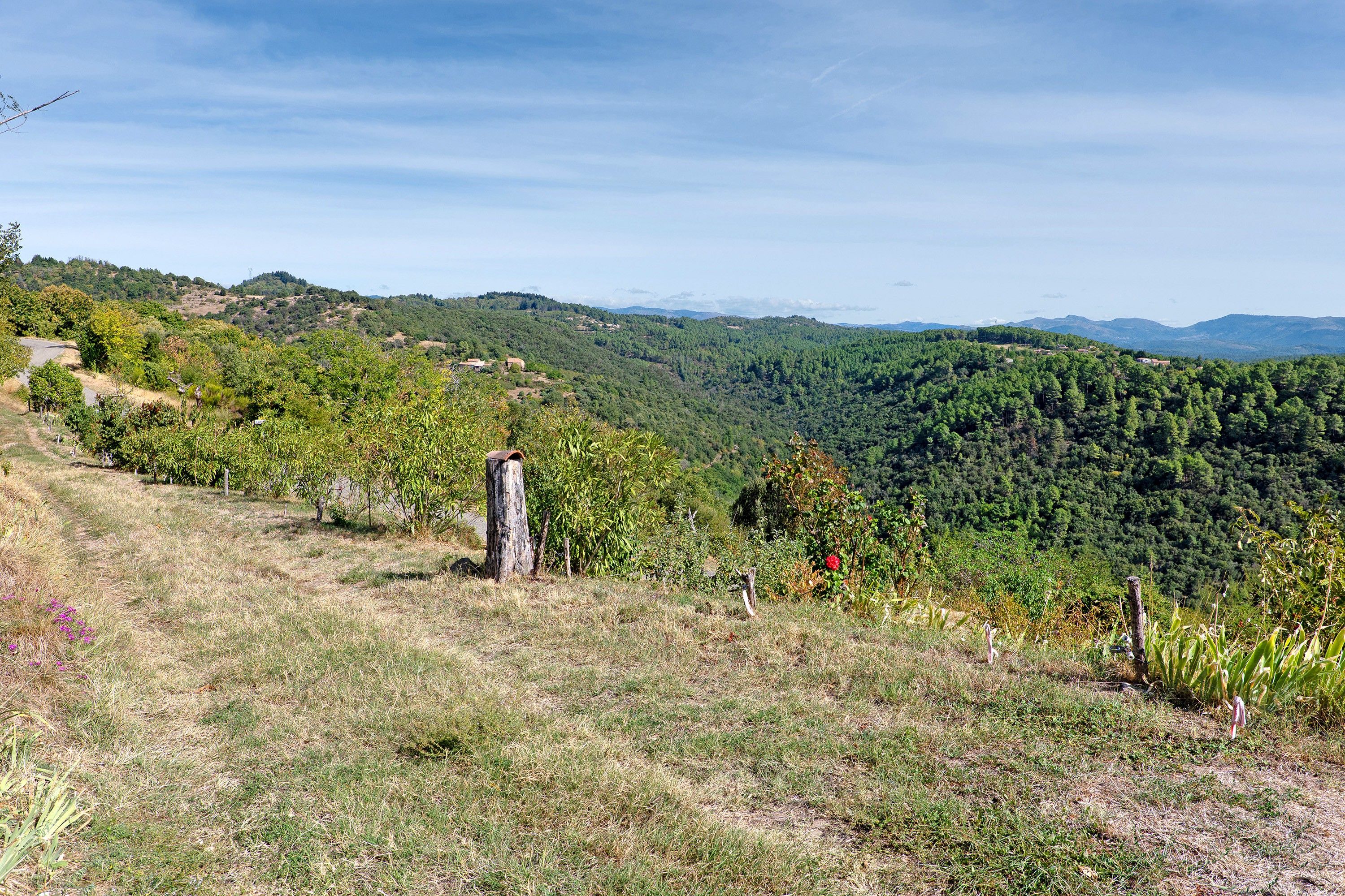 Un paysage rural avec un chemin de terre, un poteau en bois et une vue sur une vallée boisée.