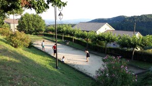 A rural setting with a pathway, greenery, and a building with a tiled roof.