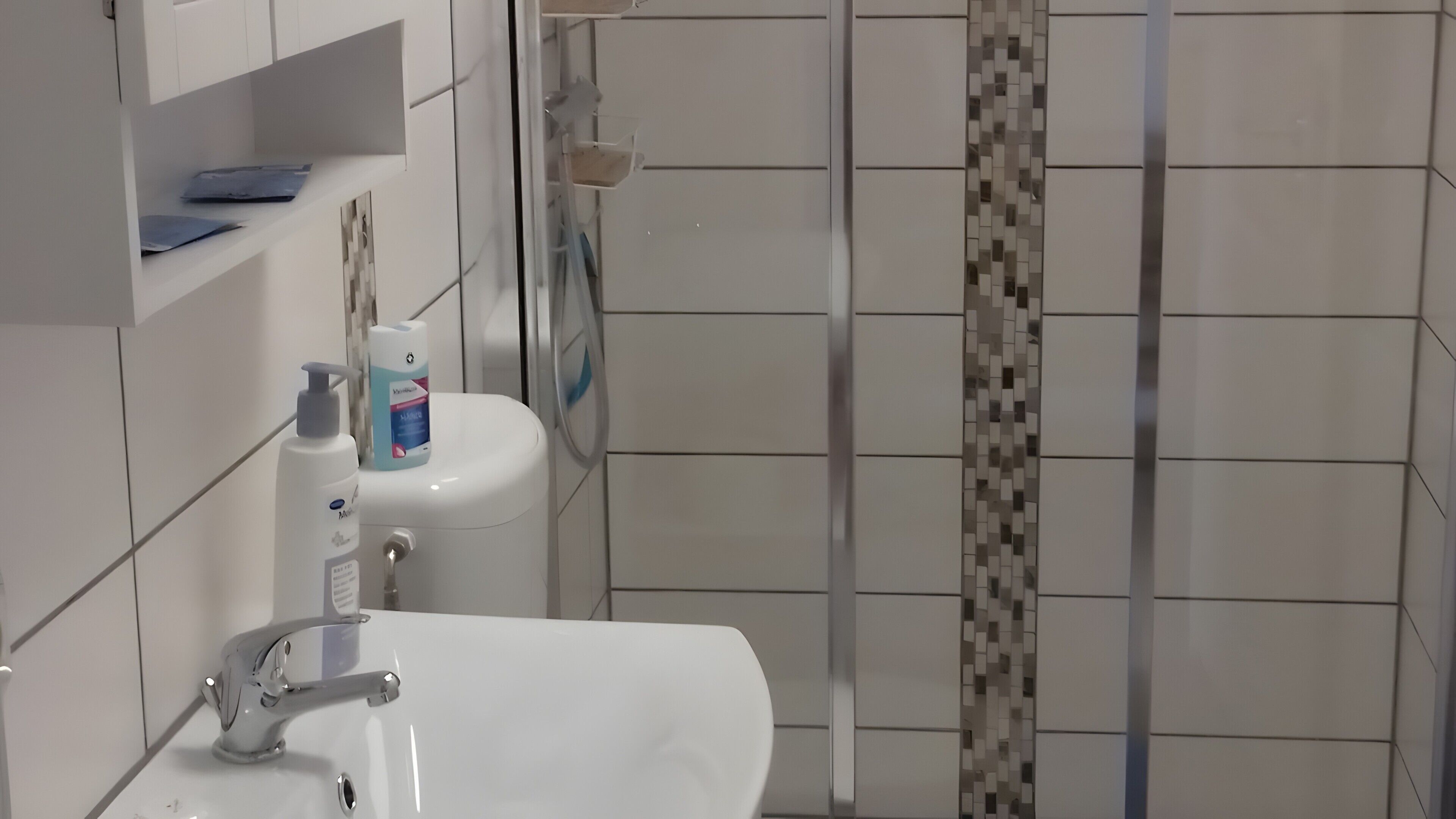 Dusche, Haartrockner, Handtücher