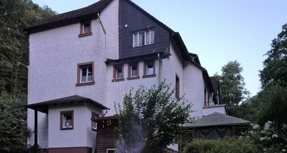 Wald Villa Üssbach- Your paradise between Cochem and Zell at the Moselle
