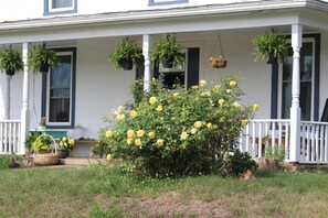 Exterior - The Honeysuckle Cottage in beautiful Madison VA (Madison)