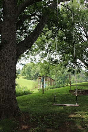 Property grounds - The Honeysuckle Cottage in beautiful Madison VA (Madison)