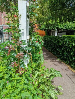 Ein Gartenweg mit üppigem Grün und blühenden Pflanzen.