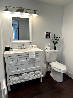 A bathroom with a white vanity, a large mirror, a toilet, and a potted plant.
