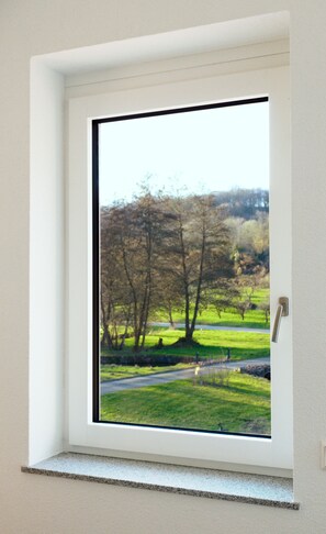 Una ventana con vista a un paisaje con césped y árboles.