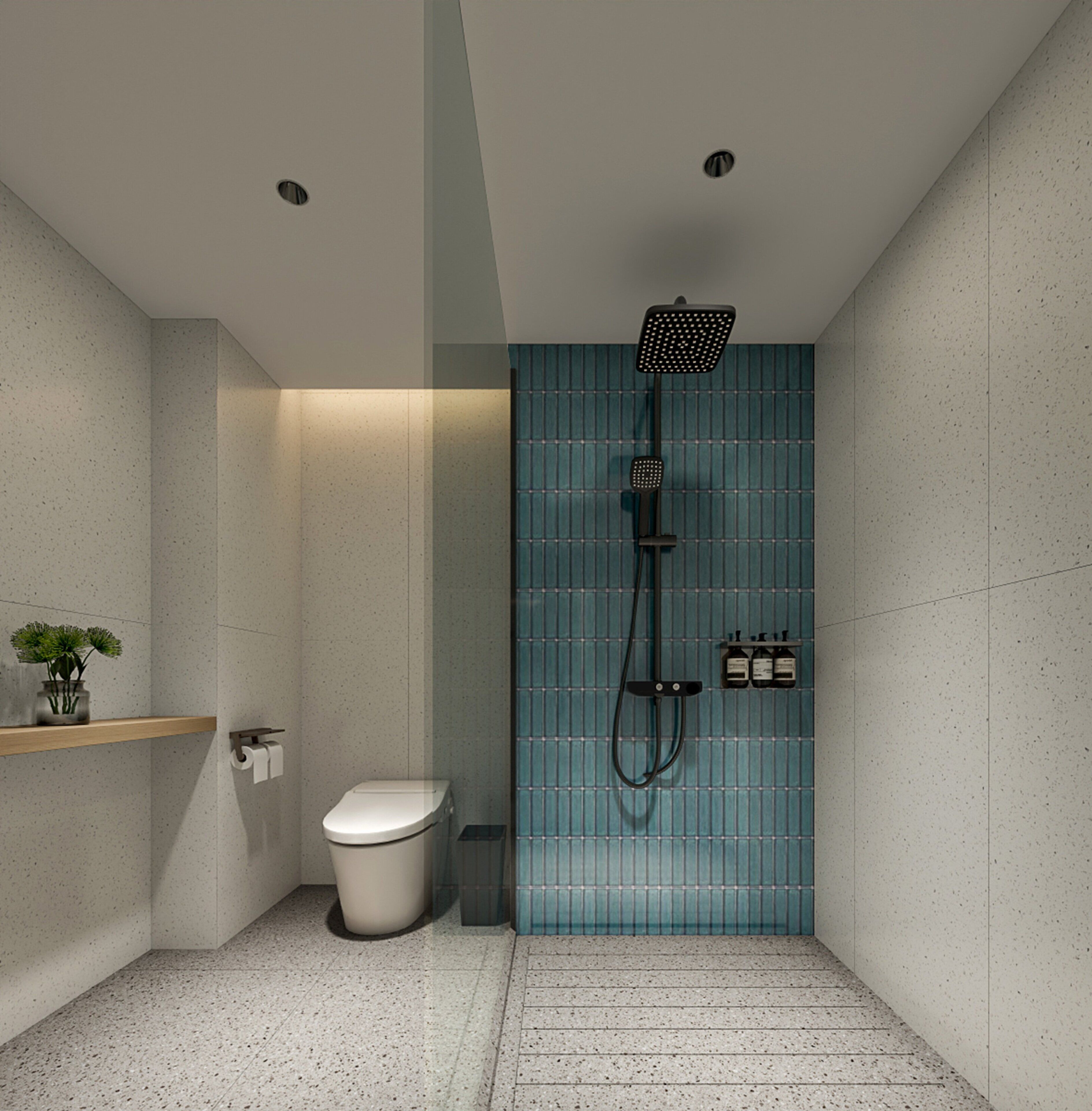 A modern bathroom with a toilet, a shower with a handheld showerhead, and a shelf with a plant.