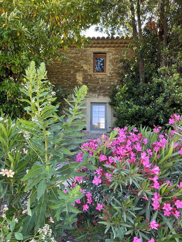 Un bĂątiment en pierre dotĂ© dâune fenĂȘtre et dâune porte, entourĂ© dâune vĂ©gĂ©tation luxuriante et de fleurs roses.