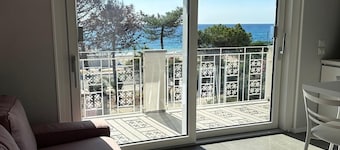 Stunning New beach-front apartment