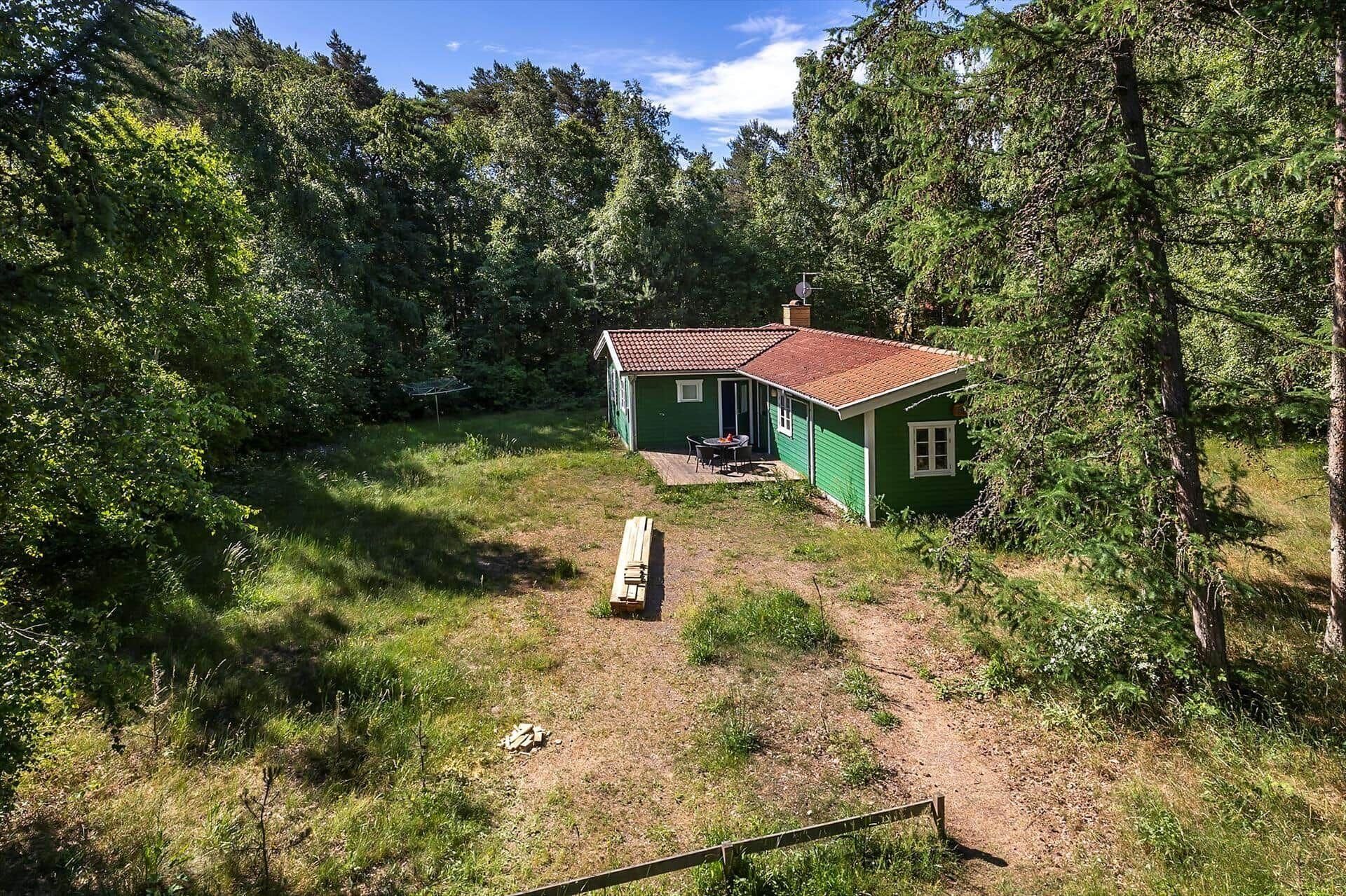 A green cabin with a red roof surrounded by dense forest.
