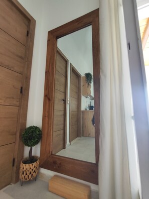 A wooden door, a mirror, and a small potted plant.