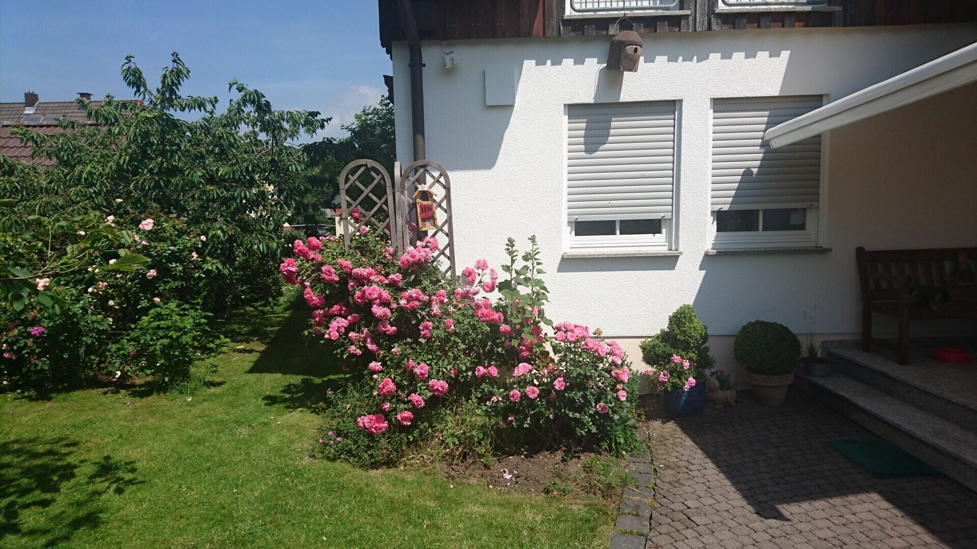 Een huis met een tuin, een houten bank en een klein trapje naar de ingang.