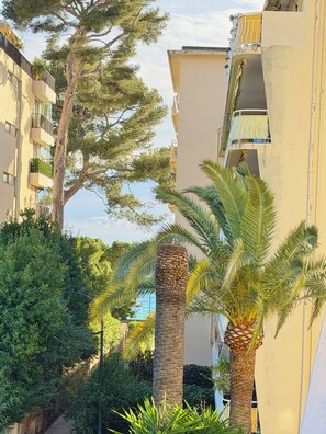 A residential building with balconies, a palm tree, and dense foliage. - Vercors Festivals next to the sea & beach (Cannes)