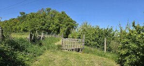 A rural landscape with a wooden fence, dense greenery, and a clear blue sky. - Holiday Home “Gîte La Rapière En Armagnac” (Lauraët)