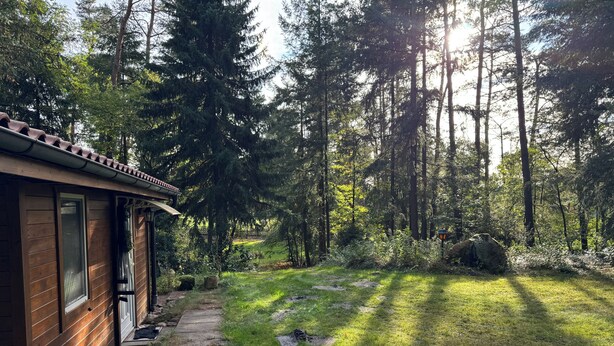 A wooden cabin with a stone pathway leading to a grassy area surrounded by tall trees. - Hidden in the forest - cozy vacation home for quiet days in nature (Wittingen)